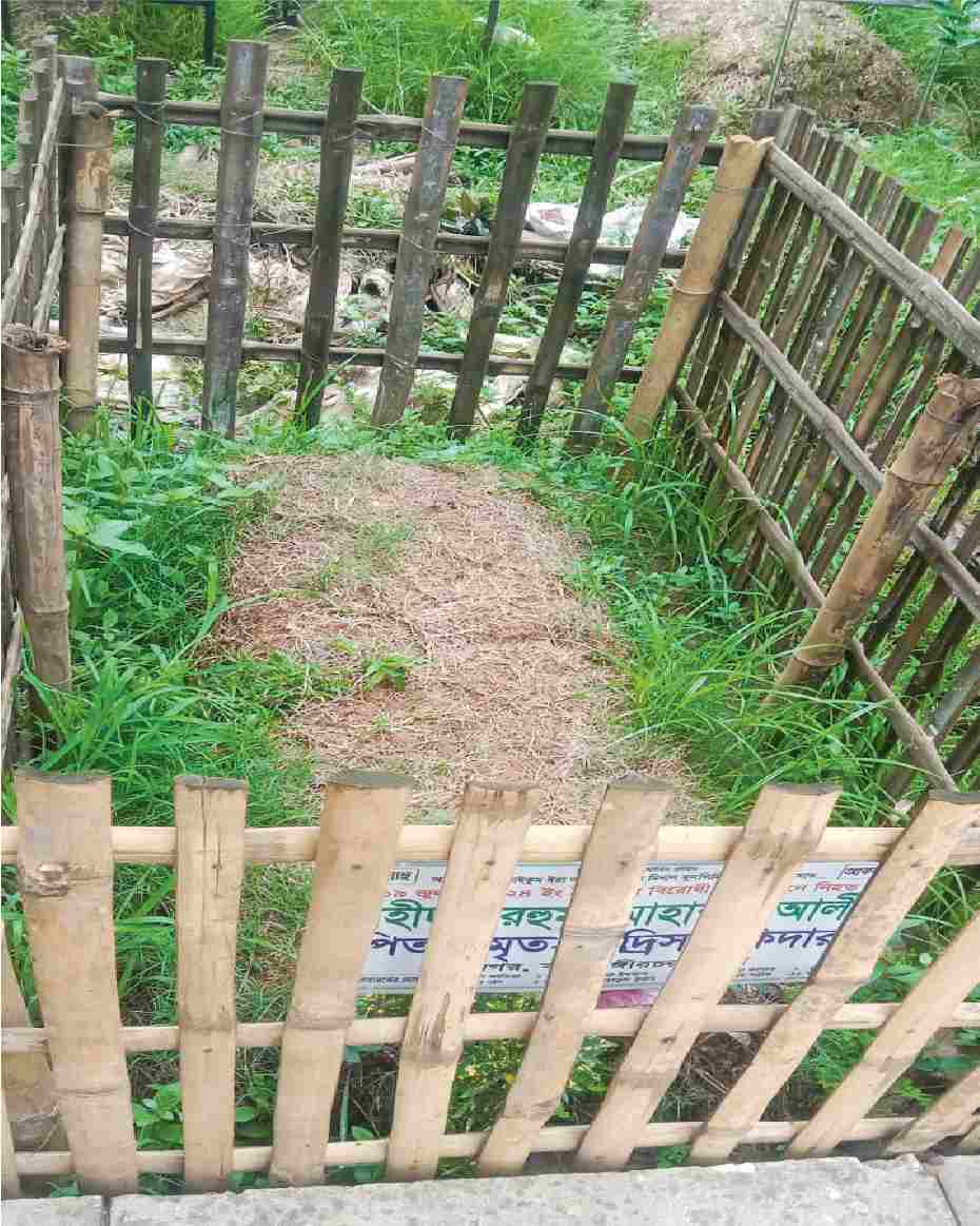 Image of আলী হোসেন